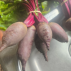 20250903_143706.webp Beetroot, mixed