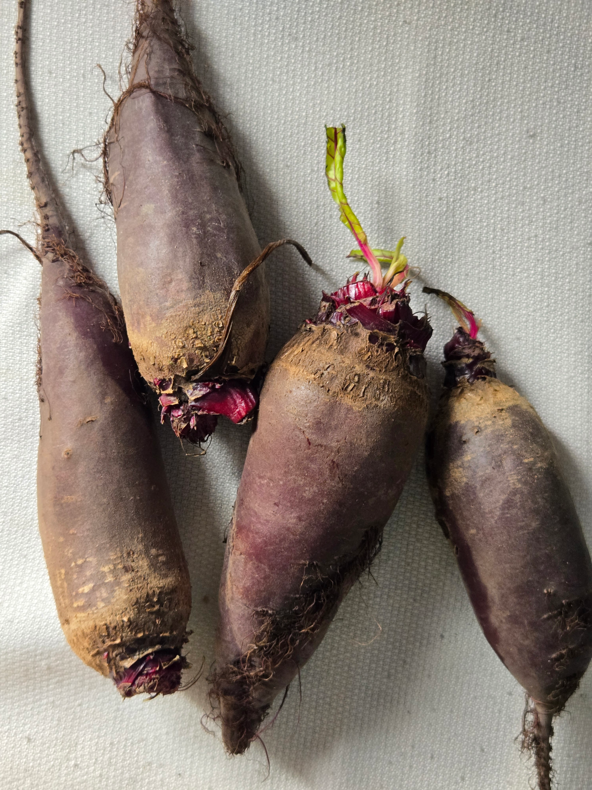 20251013_154238.webp Beetroot, mixed