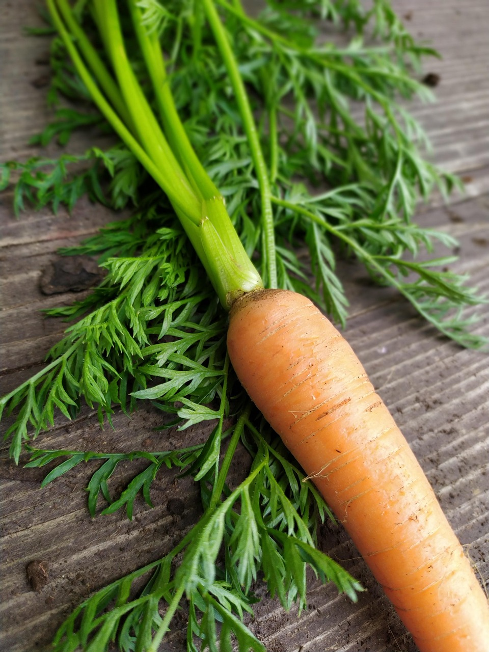 Carrots, mixed