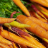 Carrots, orange