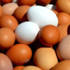 egg-2580904_1280.webp Eggs