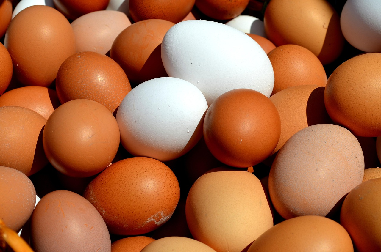 egg-2580904_1280.webp Eggs