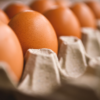 egg-7345934_1280.webp Eggs