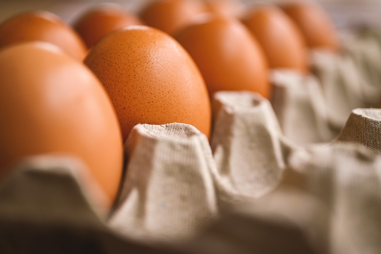 egg-7345934_1280.webp Eggs