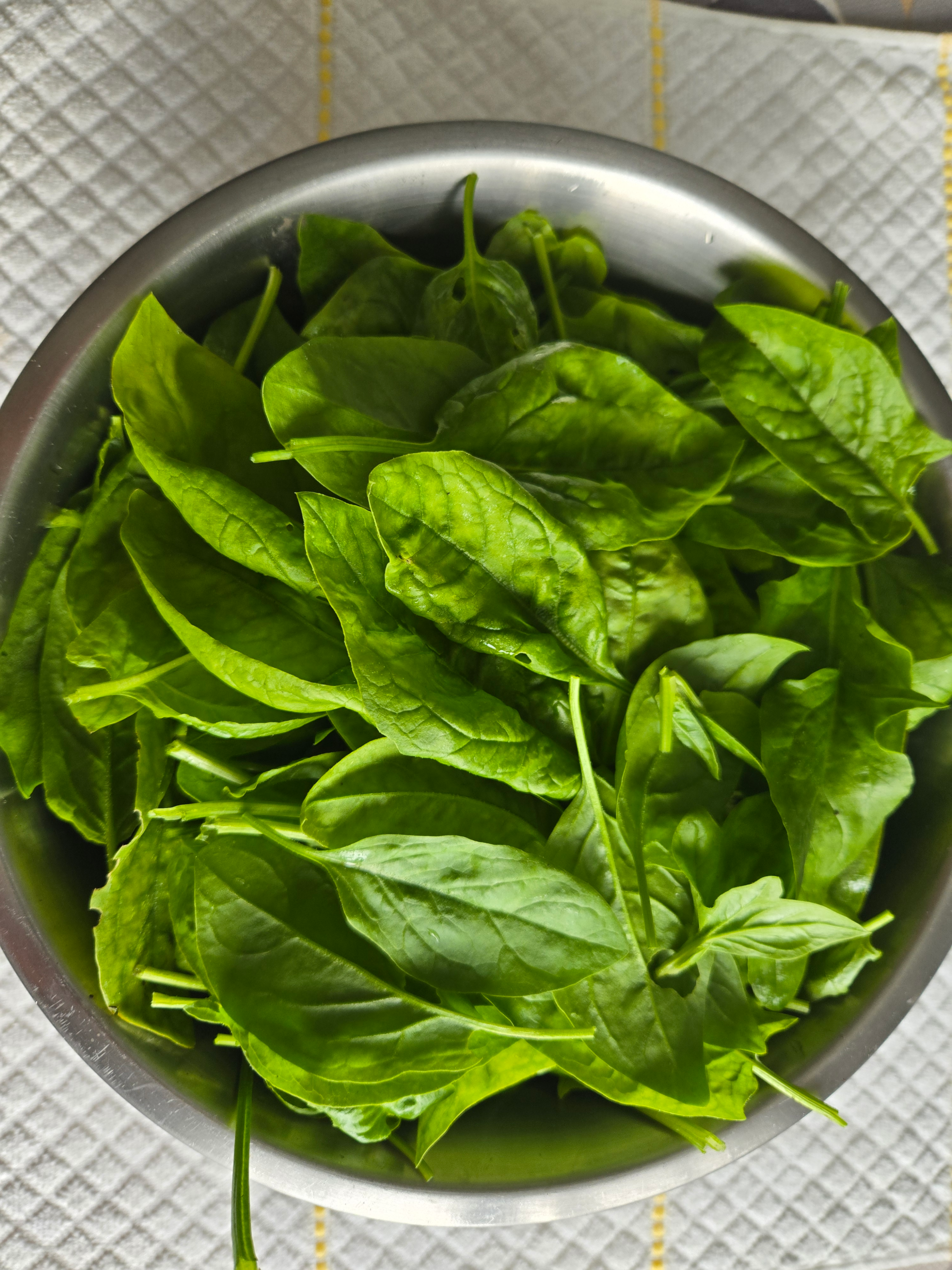 20250913_095618.webp Spinach
