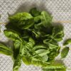 20250913_095819 Spinach