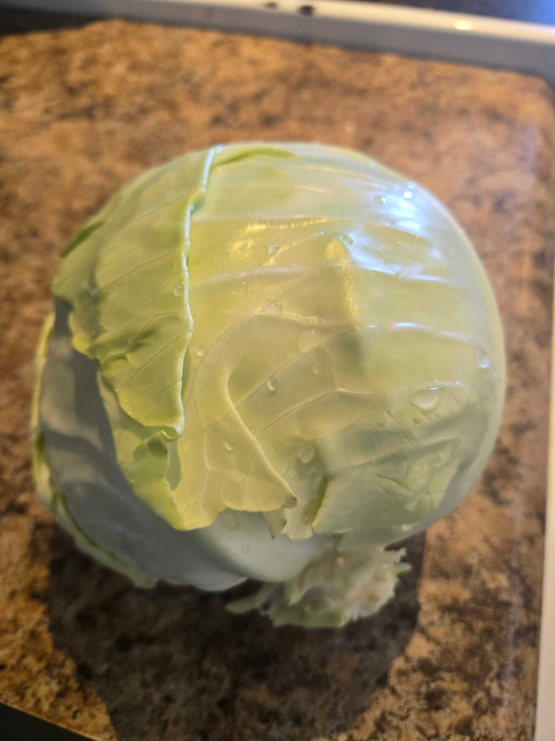 20260730_111649-scaled.webp Cabbage, green