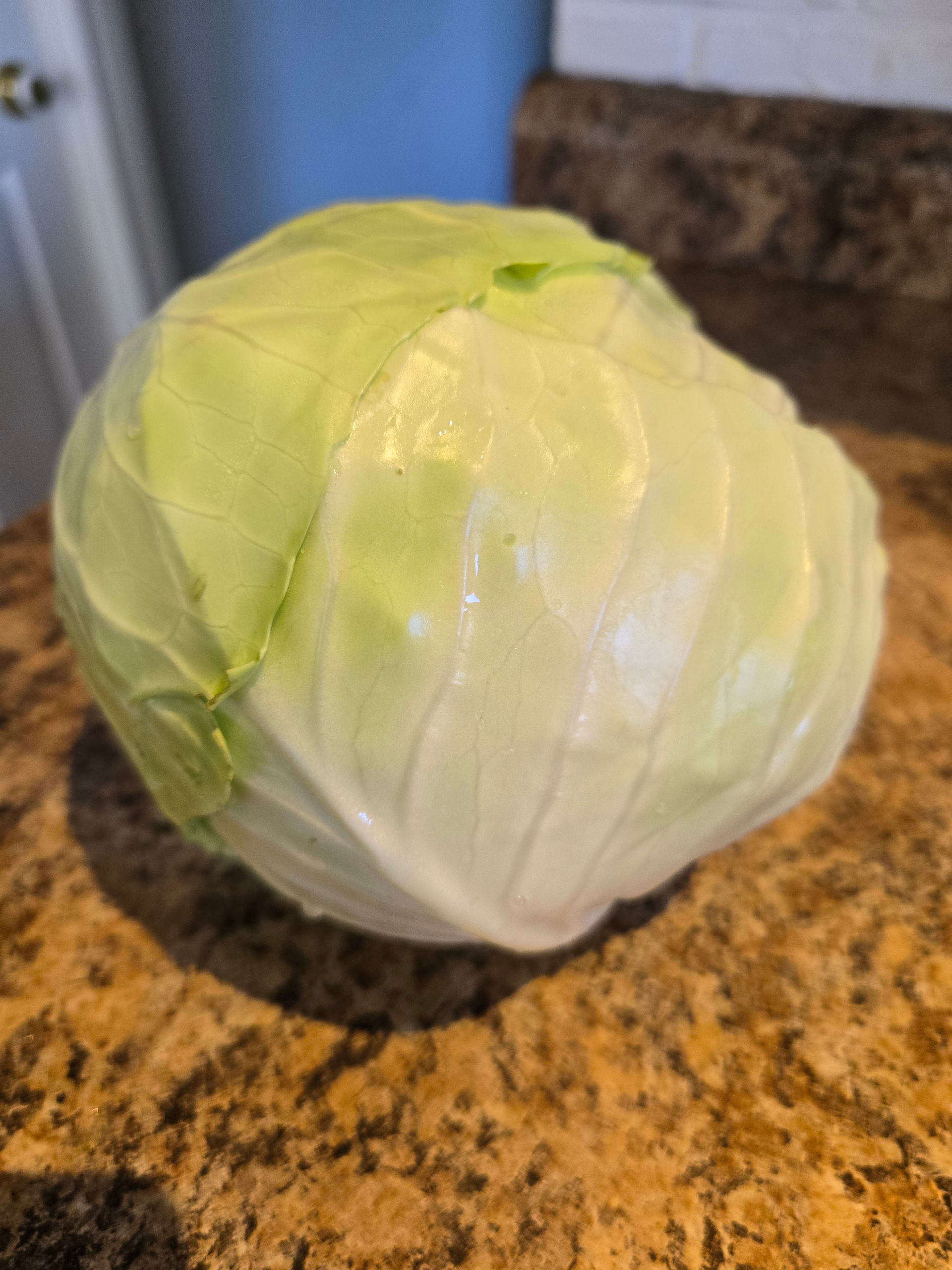 20260730_111738.webp Cabbage, green
