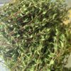20250903_144001 Thyme