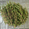 20250903_152833.webp Thyme