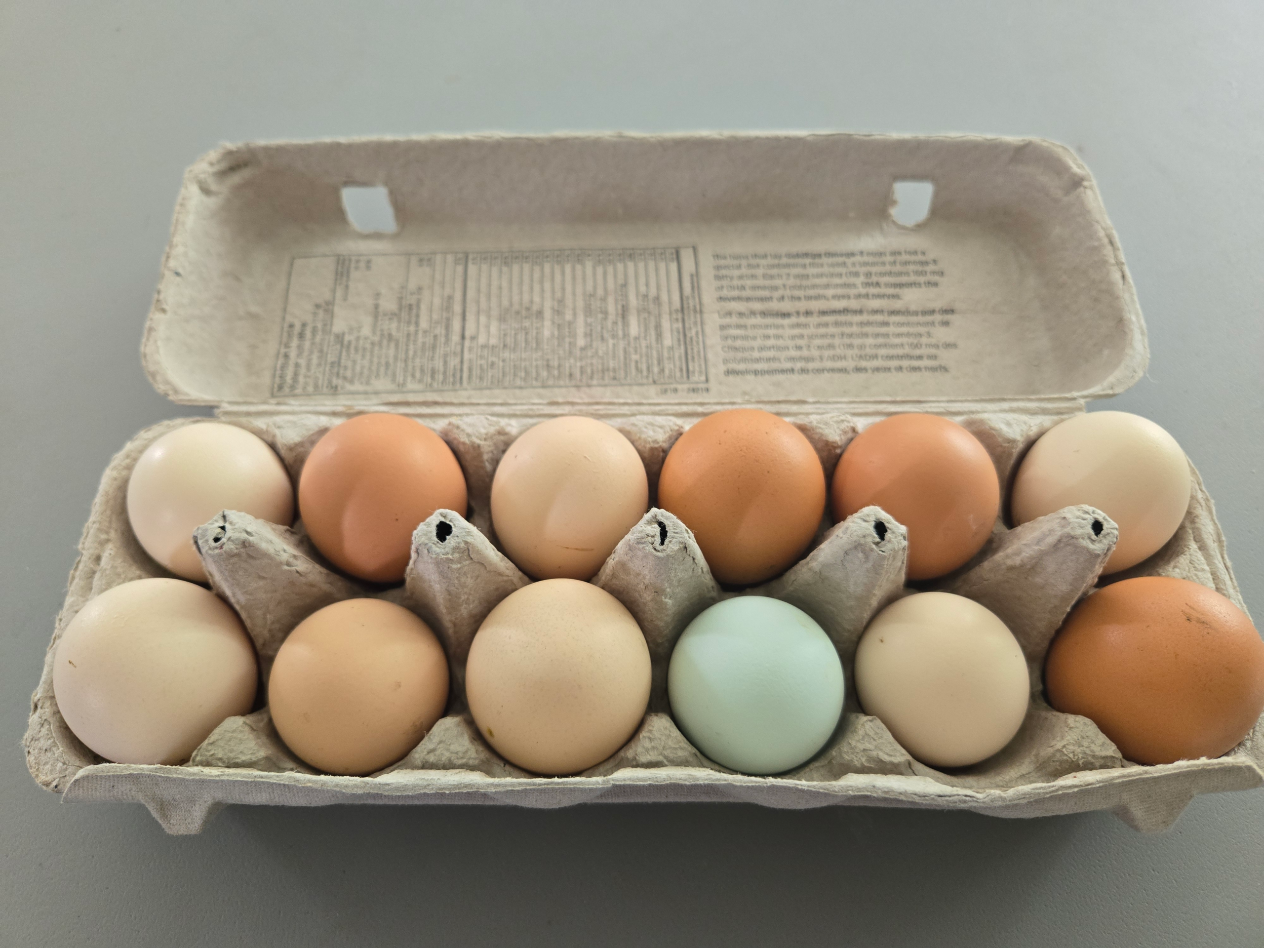 20260613_144710.webp Eggs