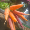20250903_143620.webp Carrots, orange