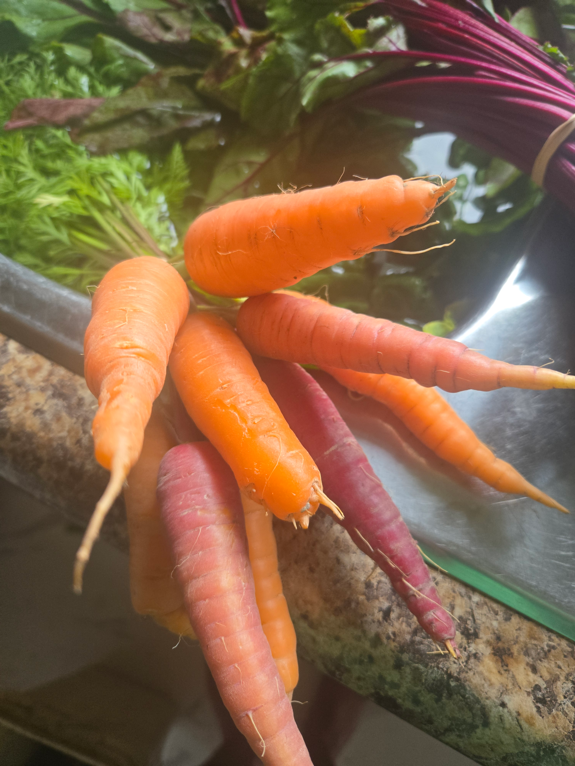 20250903_143620.webp Carrots, orange