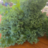 20260729_112852.webp Kale