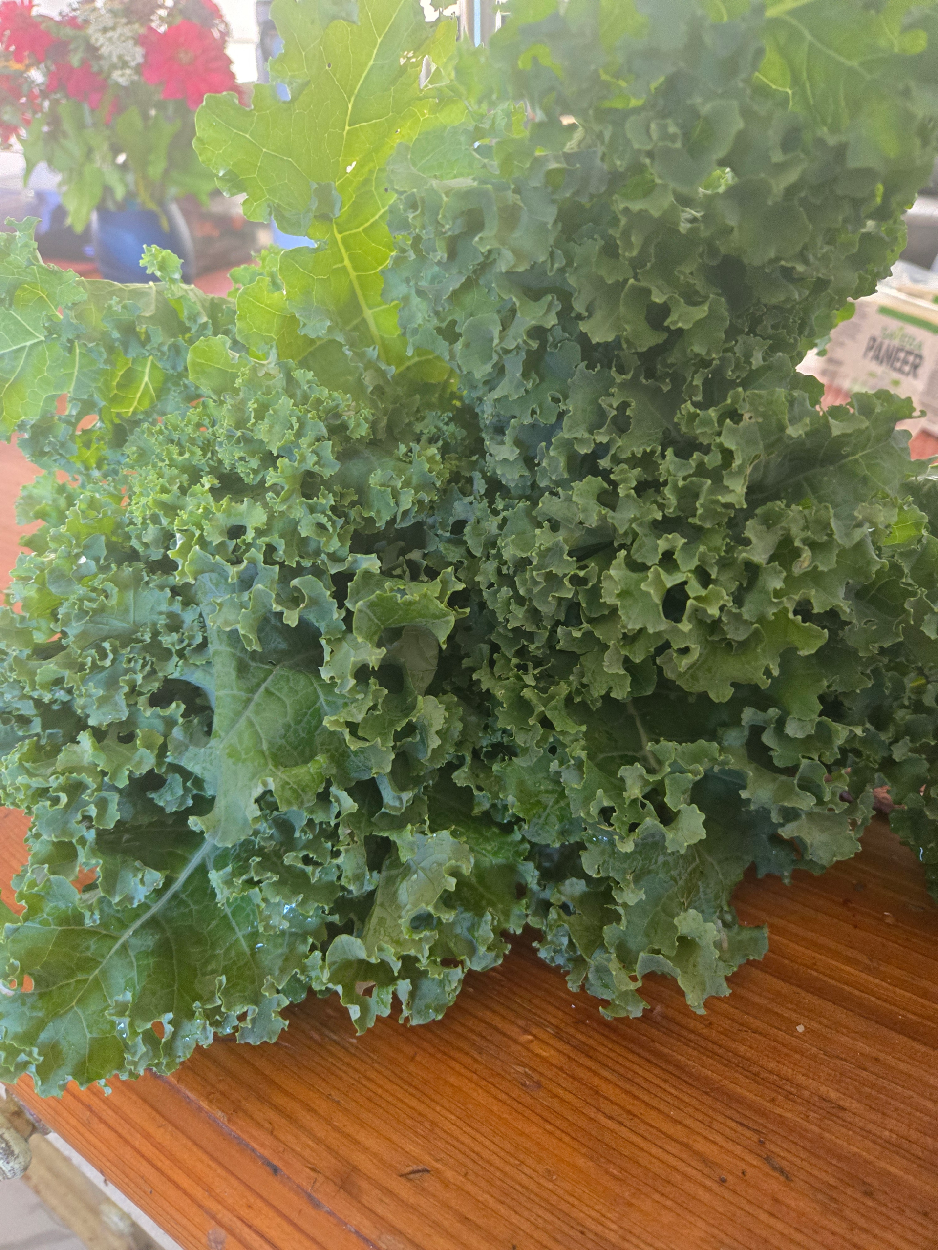 20260729_112852.webp Kale