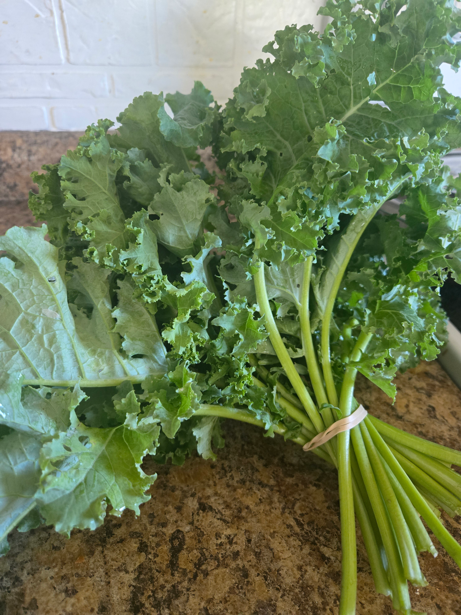 20260729_113057.webp Kale