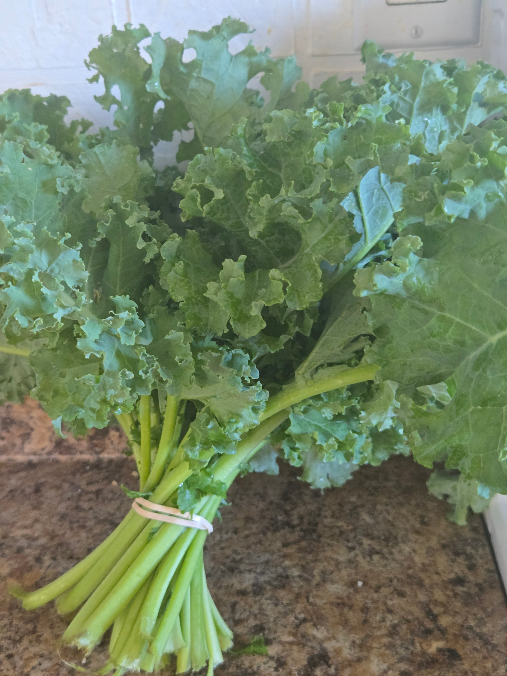 20260729_113331.webp Kale