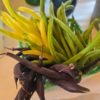 Beans (mixed)