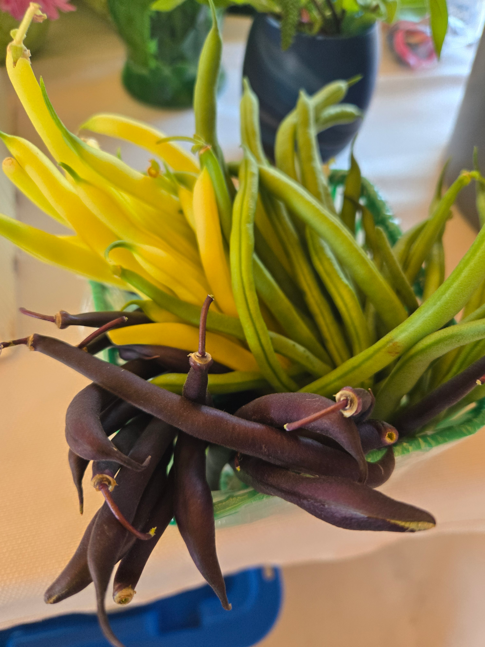 Beans (mixed)