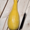 20260809_123736.webp Zucchini (yellow)