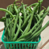 Beans (green)