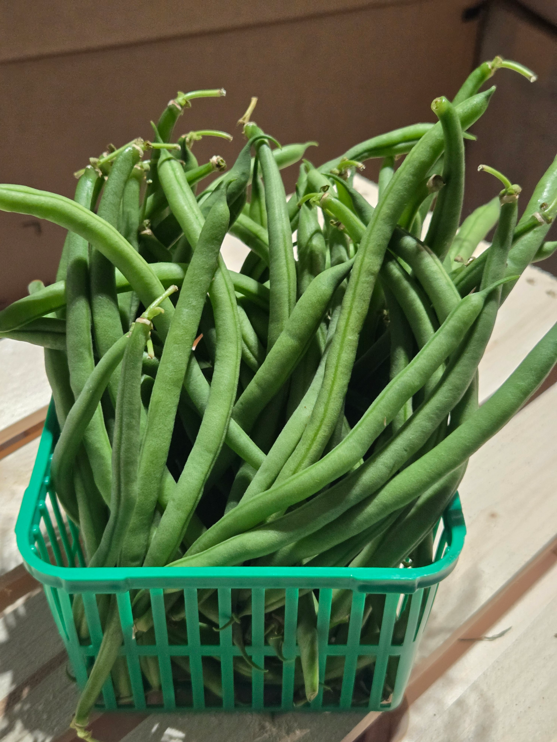 Beans (green)