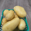 Potato (yellow)