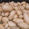 Potato (yellow)